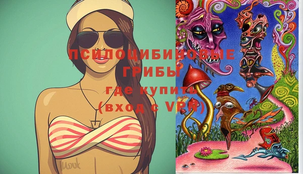 соль курить ск Краснослободск